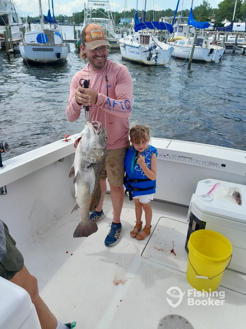 Niceville Report Photo 0