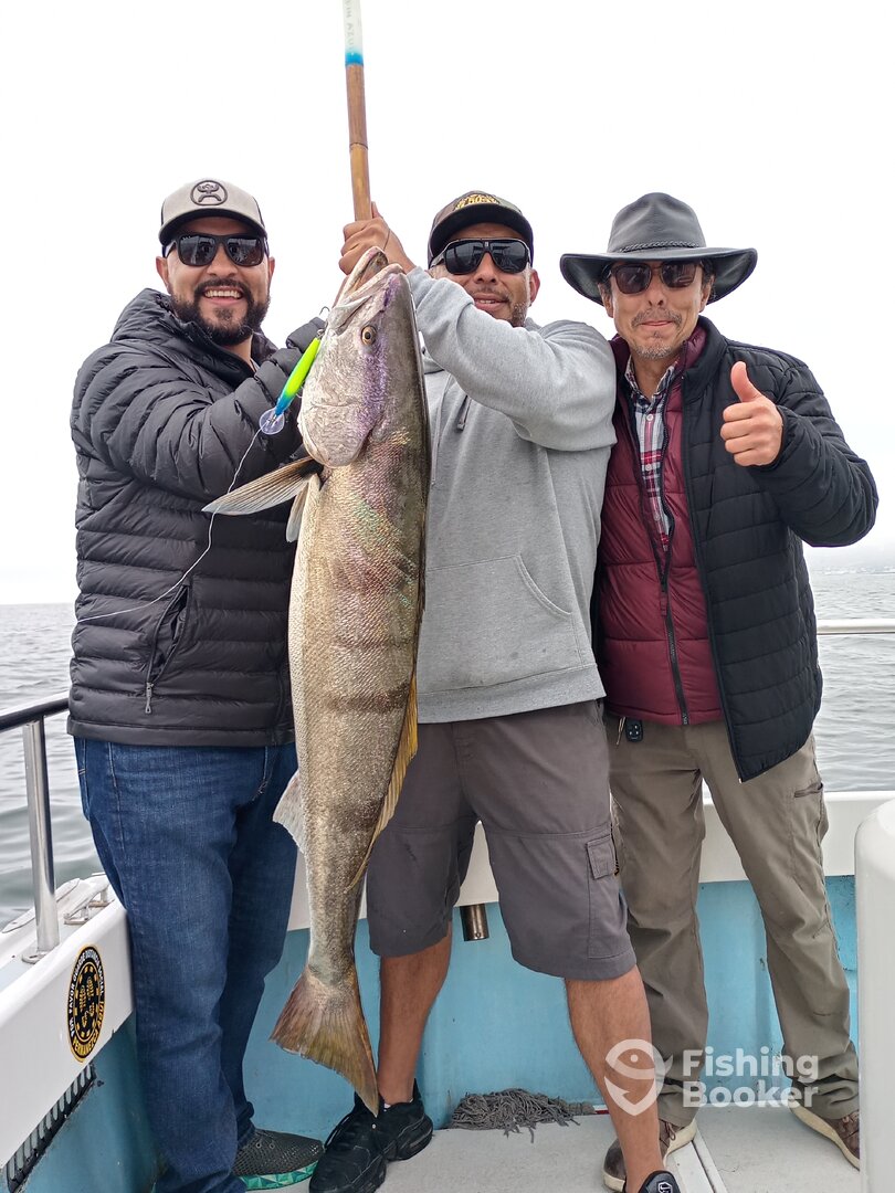 Ensenada Report Photo 0