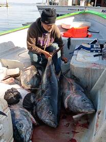 Ensenada Report Photo 1