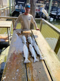 Galveston Report Photo 1