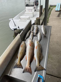 Galveston Report Photo 2