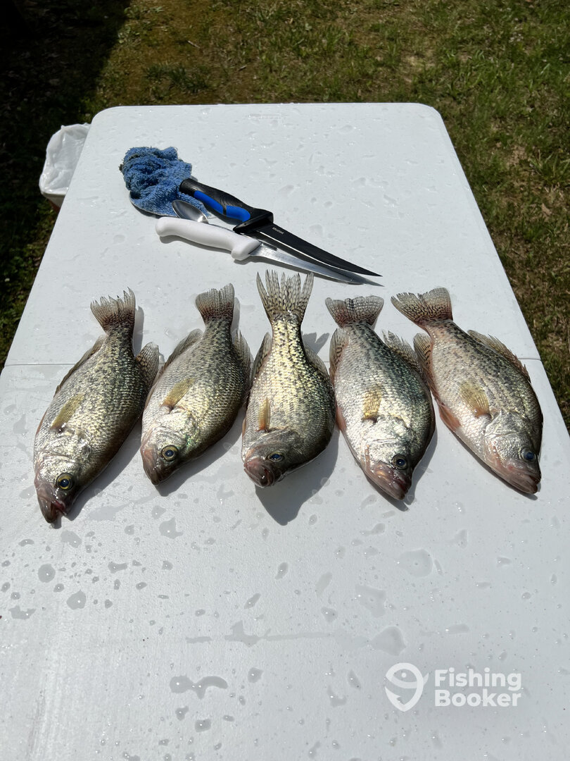 Randleman Report Photo 0