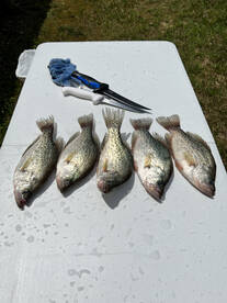 A really good day of fishing