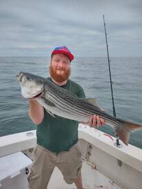 Montauk Report Photo 1