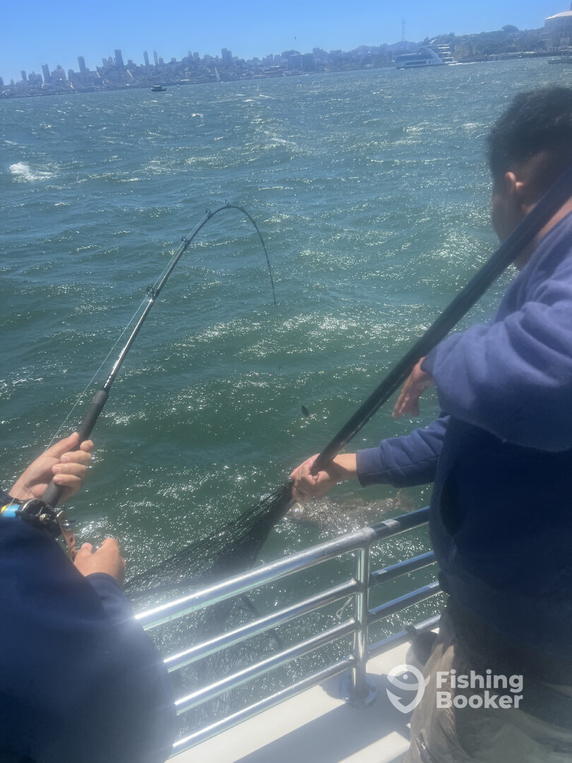 San Francisco Report Photo 0