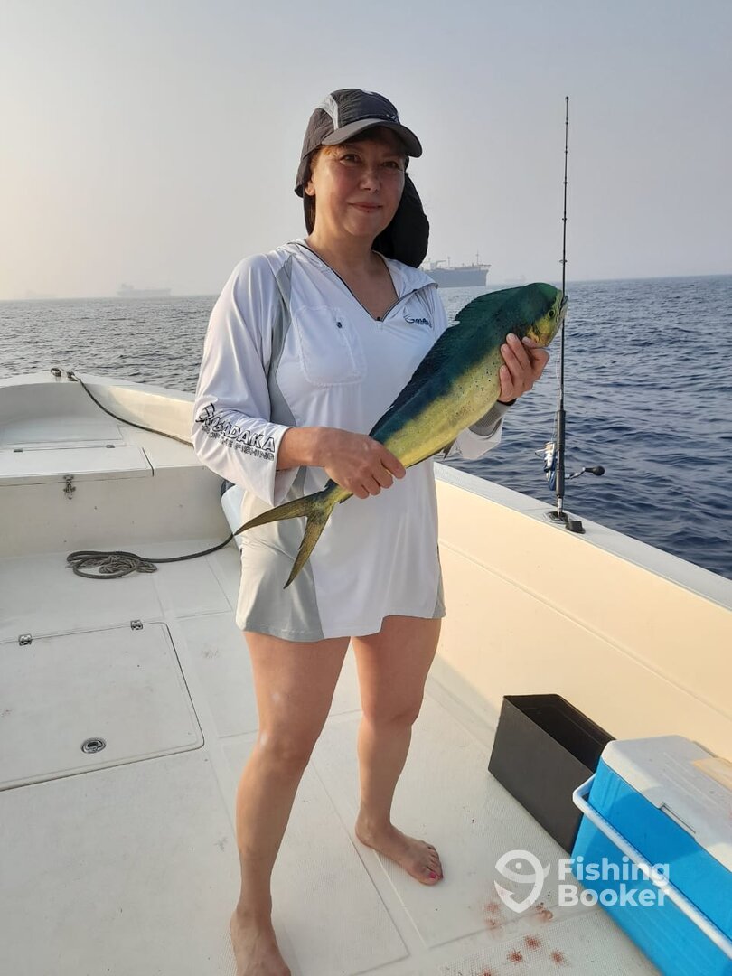 Fujairah Report Photo 0