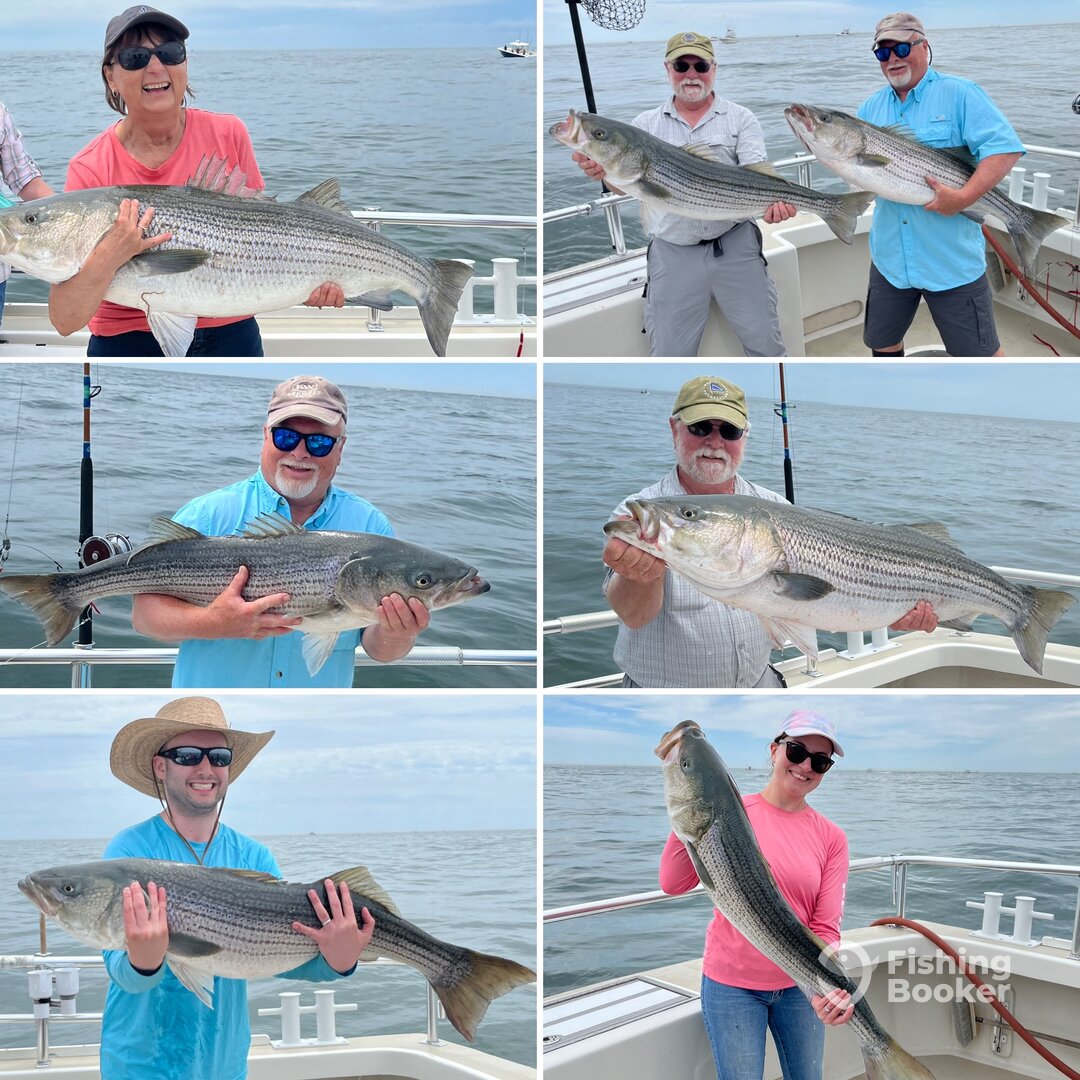Montauk Report Photo 0