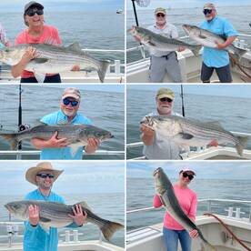 Big Girls are Chewing!