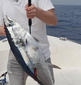 Fujairah Report Photo 1
