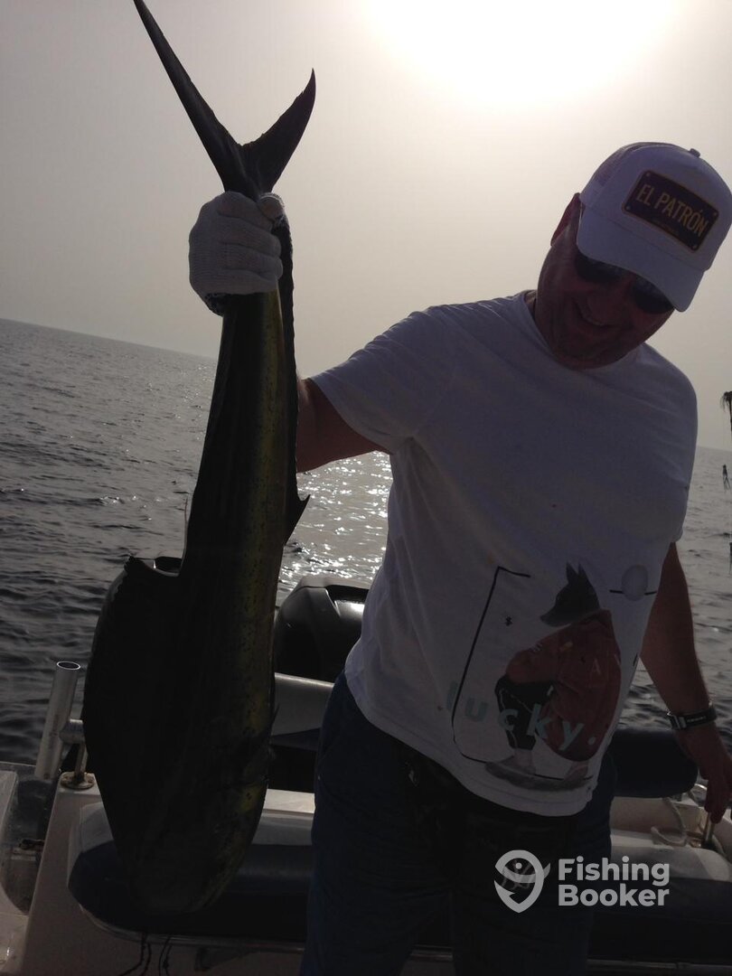 Fujairah Report Photo 0