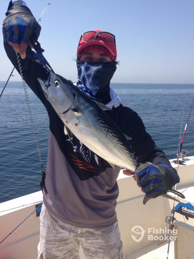 Fujairah Report Photo 0