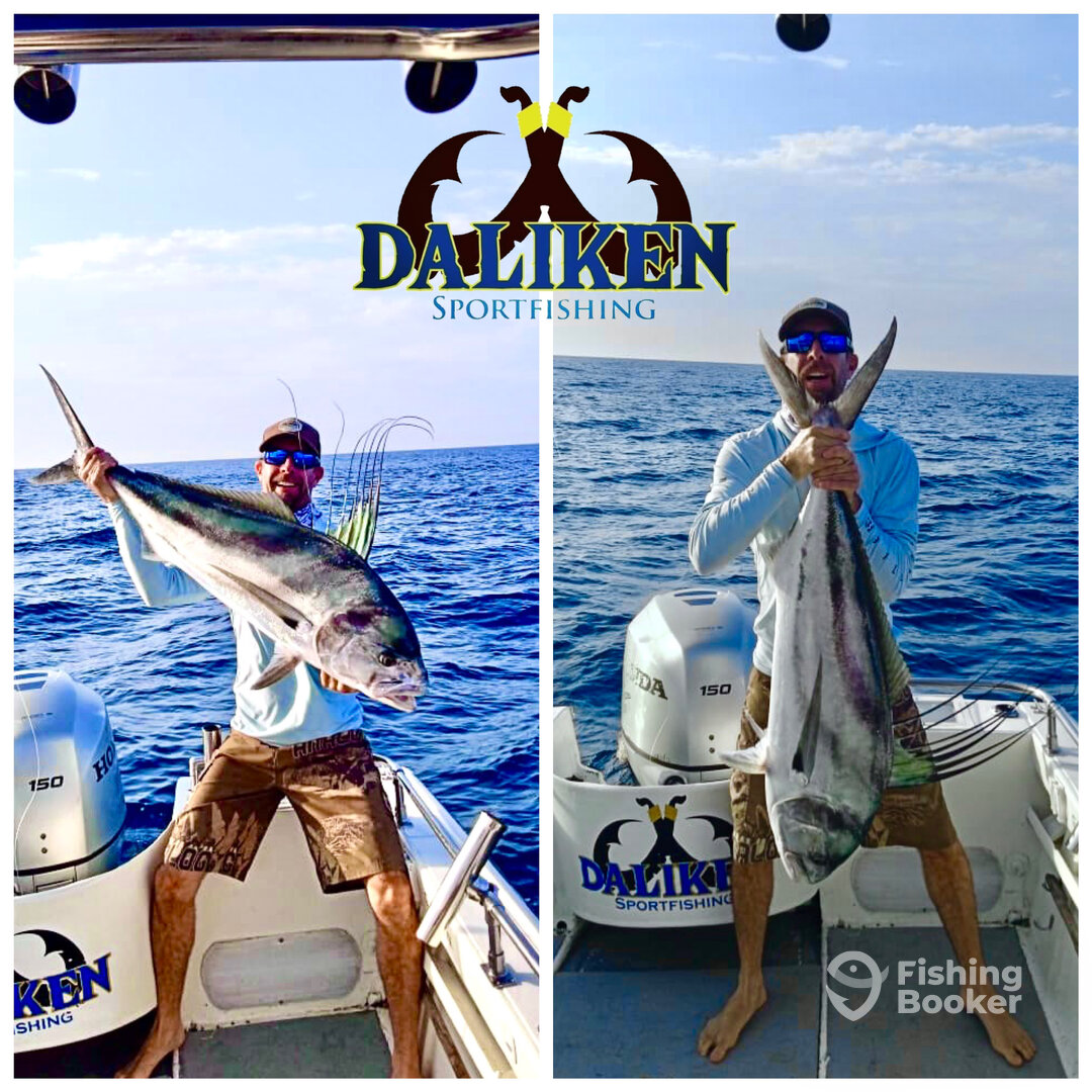 San Jose del Cabo Report Photo 0