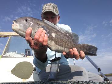 Chincoteague Report Photo 1