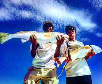 Charleston Report Photo 1