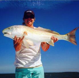 Charleston Report Photo 2