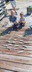 Wanchese Report Photo 1