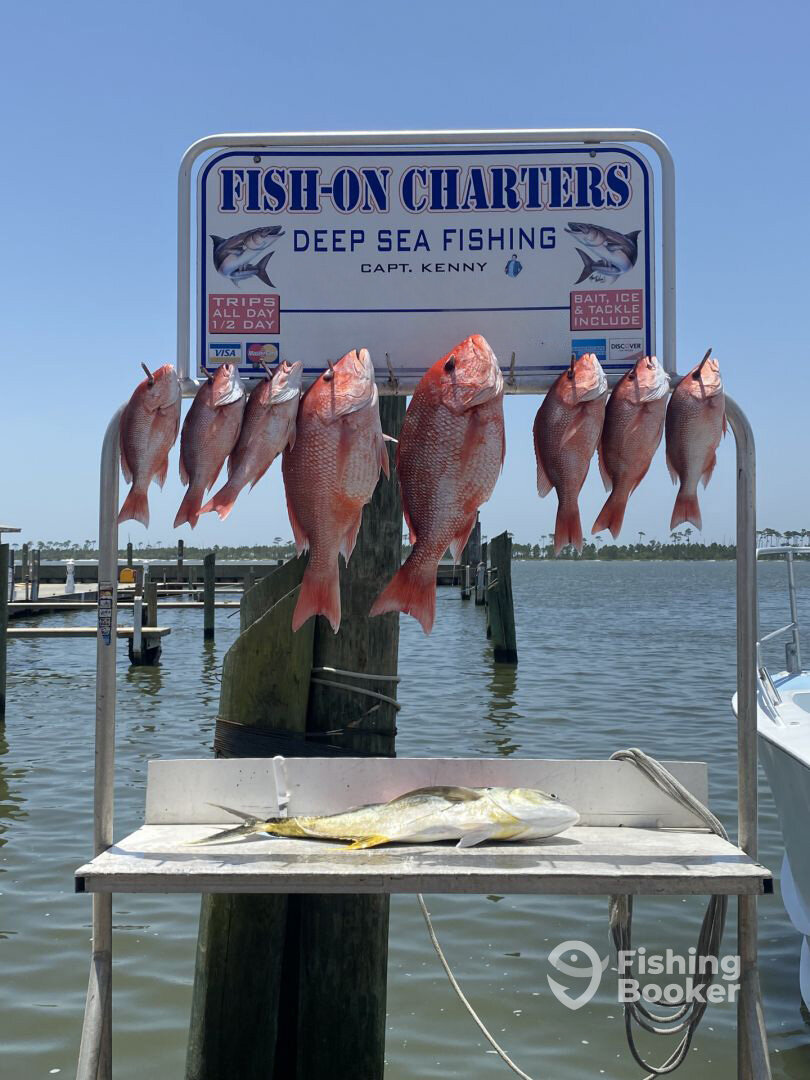 Biloxi Report Photo 0