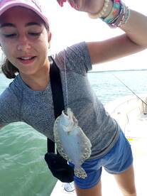 Murrells Inlet Report Photo 2