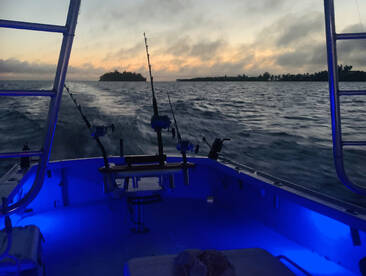 Sandys Report Photo 1