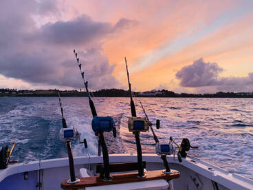 Sandys Report Photo 2