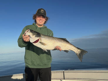 Dennis Report Photo 1