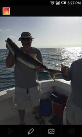 31inch cobia