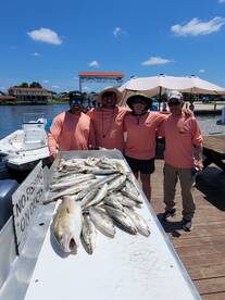 Limits of Trout on Tables