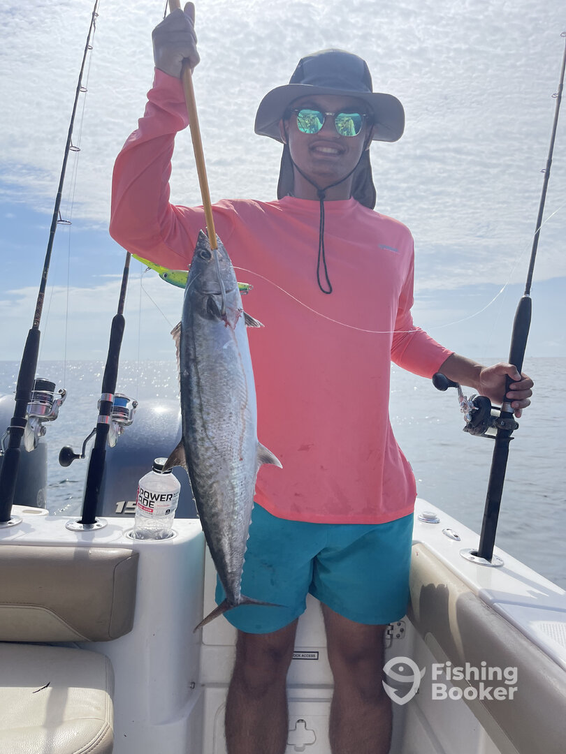 Orange Beach Report Photo 0