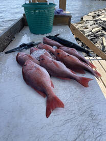 Orange Beach Report Photo 2