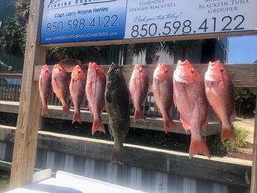 Living Right Fishing Charters