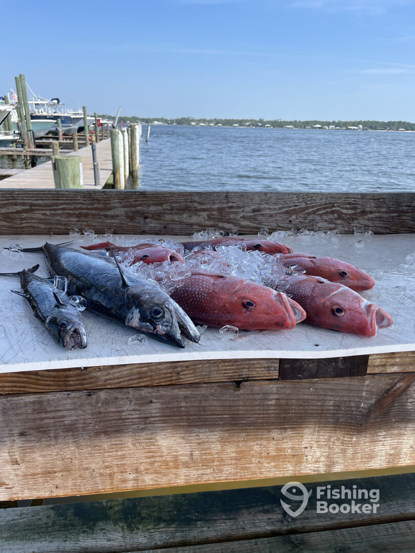 Orange Beach Report Photo 0