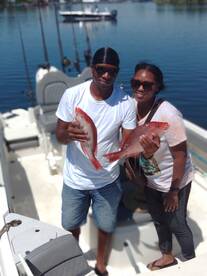 Red snapper 