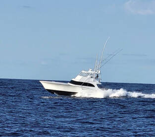 Ocean City Report Photo 2