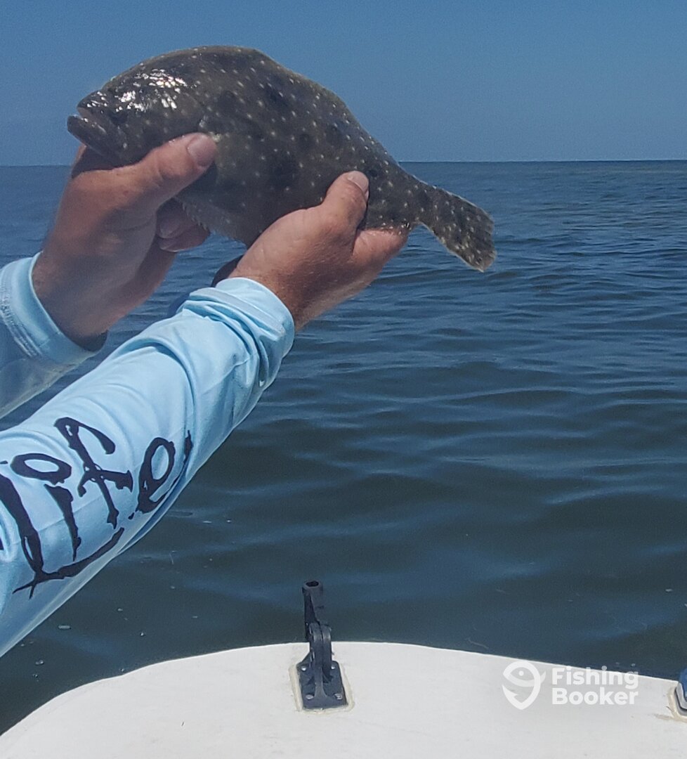 Cedar Key Report Photo 0