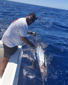 Pasito Blanco Report Photo 1