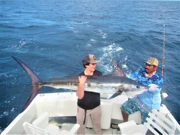 Cabo San Lucas Report Photo 2