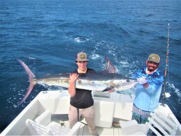 Cabo San Lucas Report Photo 1