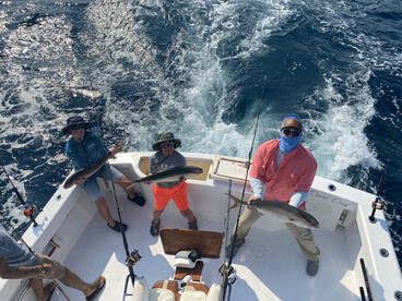 Hatteras Report Photo 1
