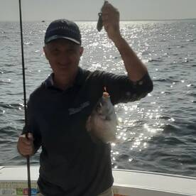 New York City Report Photo 2