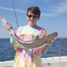 New York City Report Photo 1