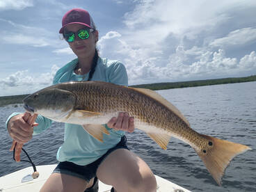 Big Reds chewing 