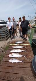 Wanchese Report Photo 1