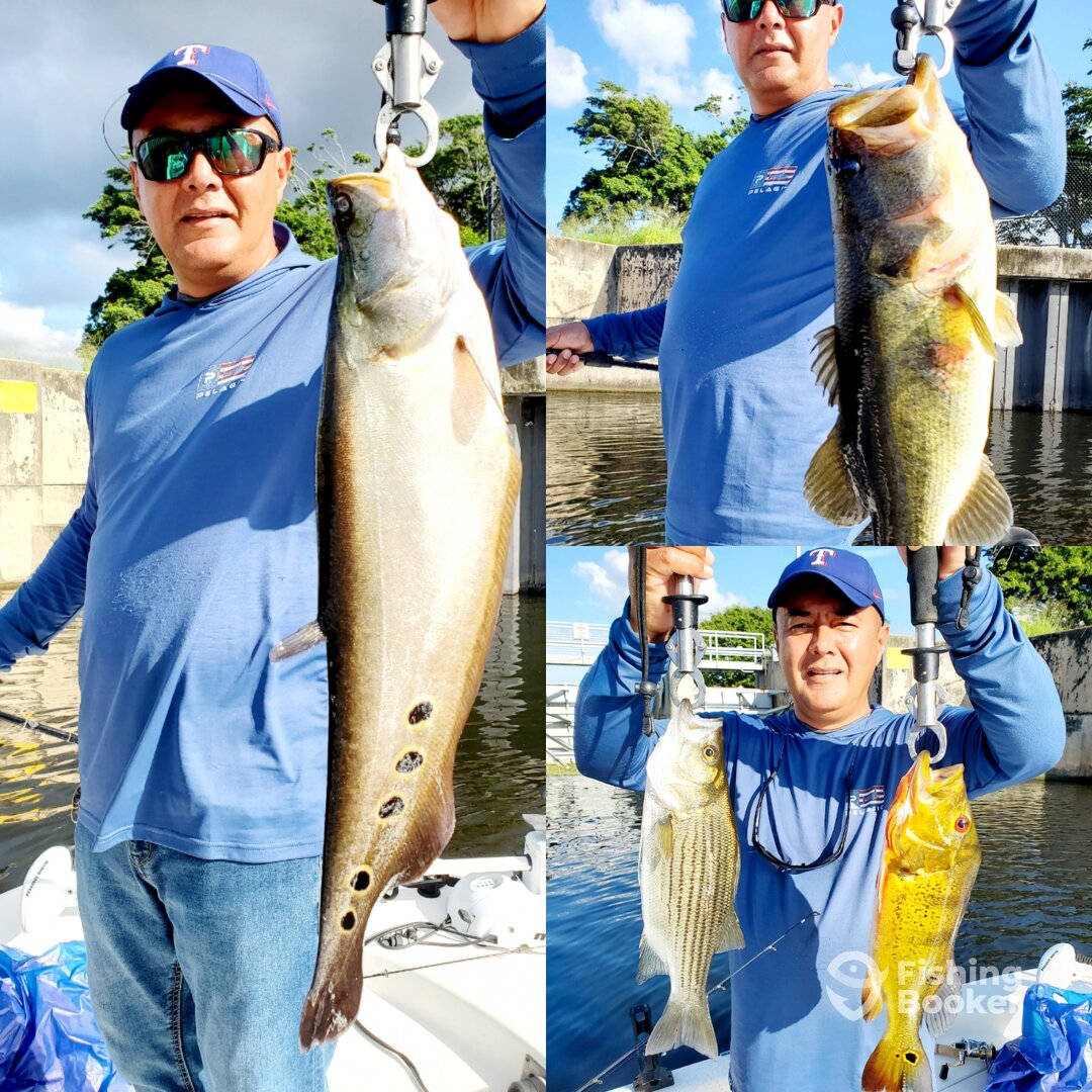 Delray Beach Report Photo 0