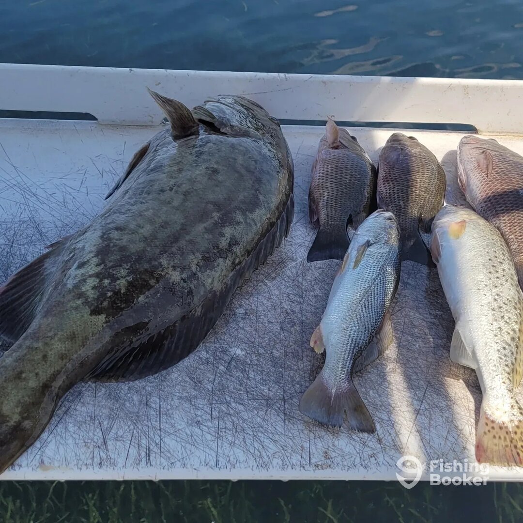Crystal River Report Photo 0