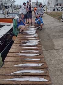 Wanchese Report Photo 1