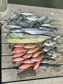 New Smyrna Beach Report Photo 2