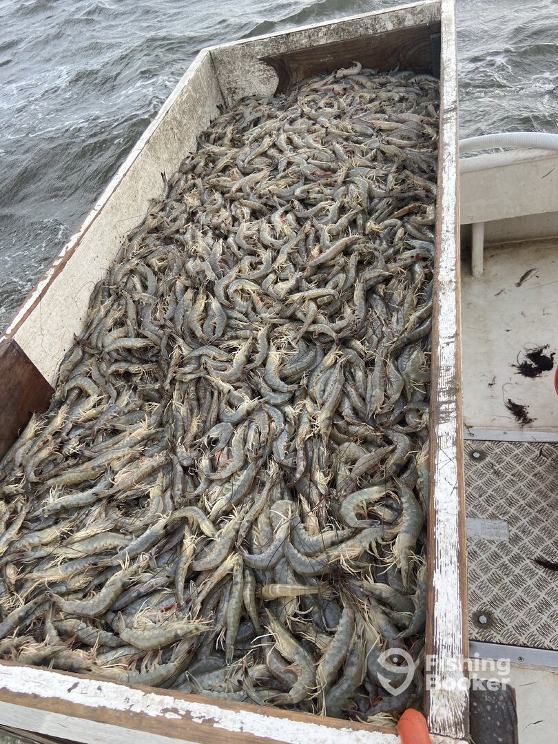 Wanchese Report Photo 0