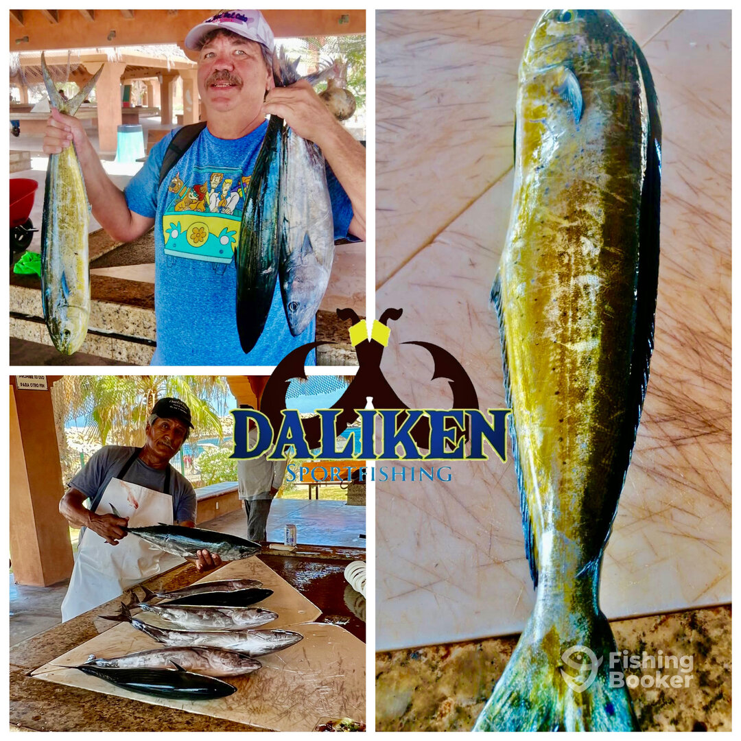 San Jose del Cabo Report Photo 0