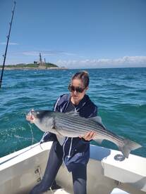 COULDN'T BE BETTER ON TAILWRAPPED!!