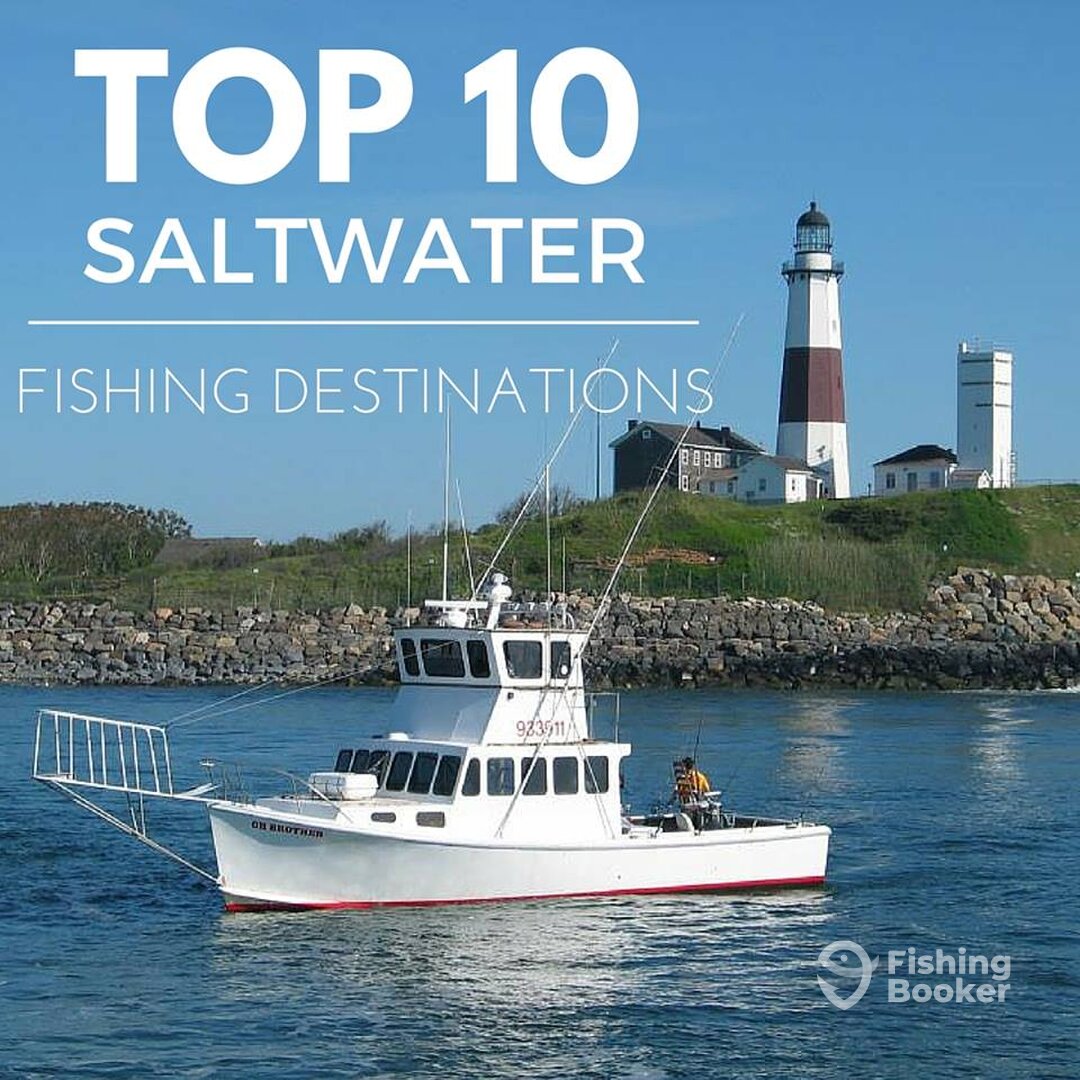 Montauk Report Photo 0